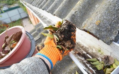 9 End-of-Year Home Maintenance Tips for Florida Homeowners