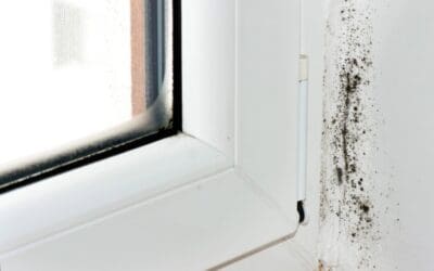 Understanding the Core Causes of Mold in Your Home